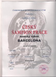 barcelona-sampion-prace-001.jpg
