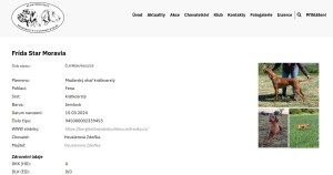 bcc932b3-4cea-49b3-96ba-b9af8ded9a33.jpg
