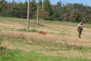 taranka-2025-7.jpg