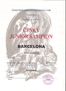 barcelona-junior-sampion-cr-001.jpg